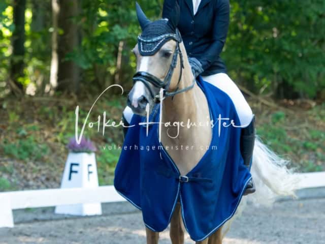 Landesponyturnier Sieger 13