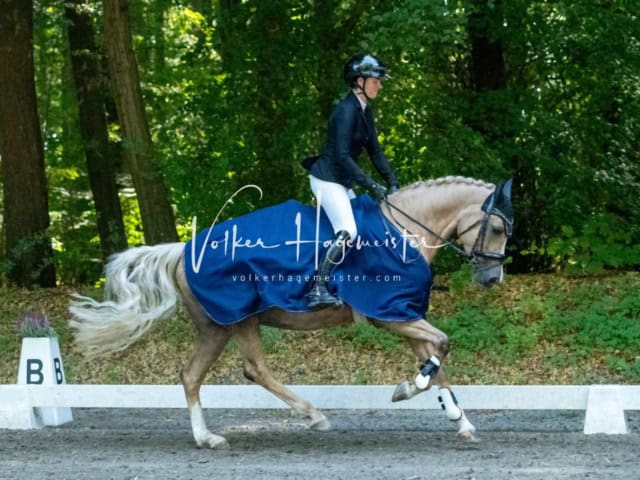 Landesponyturnier Sieger 14