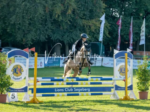 Landesponyturnier Sieger 15