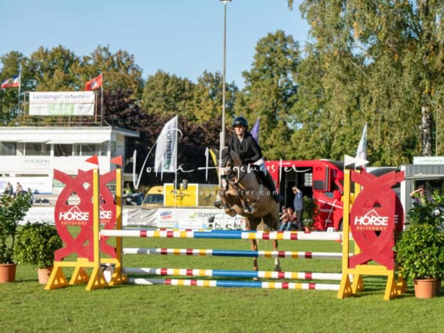 Landesponyturnier Sieger 16