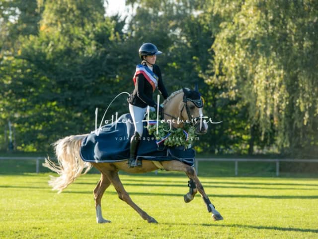 Landesponyturnier Sieger 20