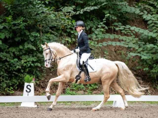 Landesponyturnier 3- und 4-Jährige 24