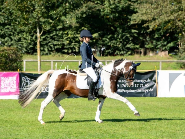 Landesponyturnier Sieger 28