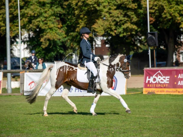 Landesponyturnier Sieger 29