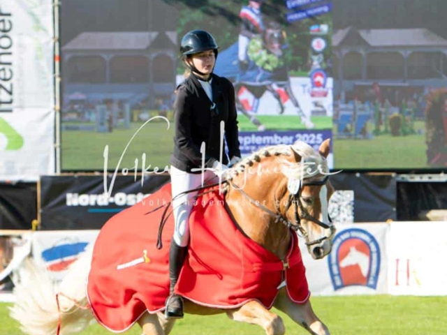 Landesponyturnier Sieger 30