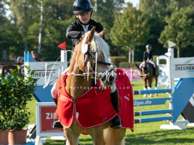 Landesponyturnier Sieger 1