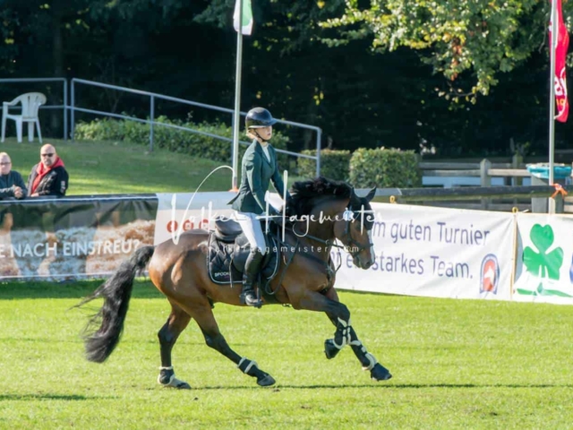 Landesponyturnier Impressionen Springen 2