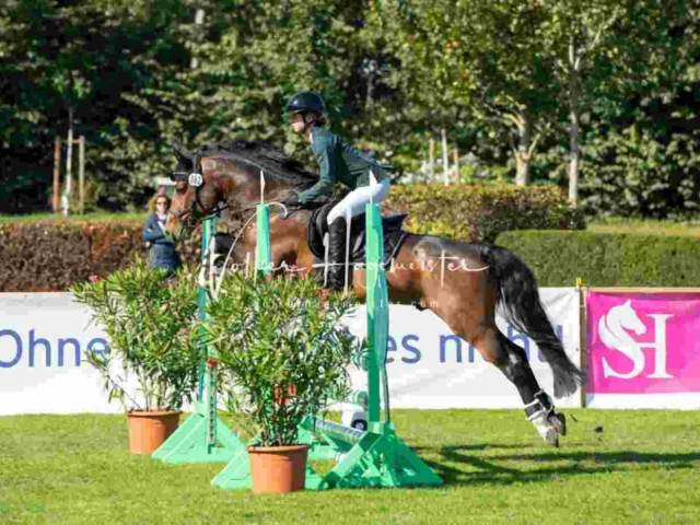 Landesponyturnier Impressionen Springen 6