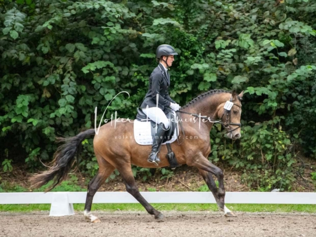 Landesponyturnier 3- und 4-Jährige 27