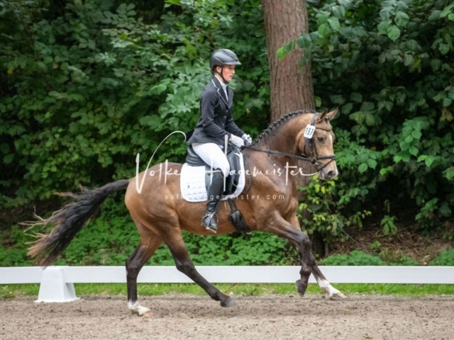 Landesponyturnier 3- und 4-Jährige 28
