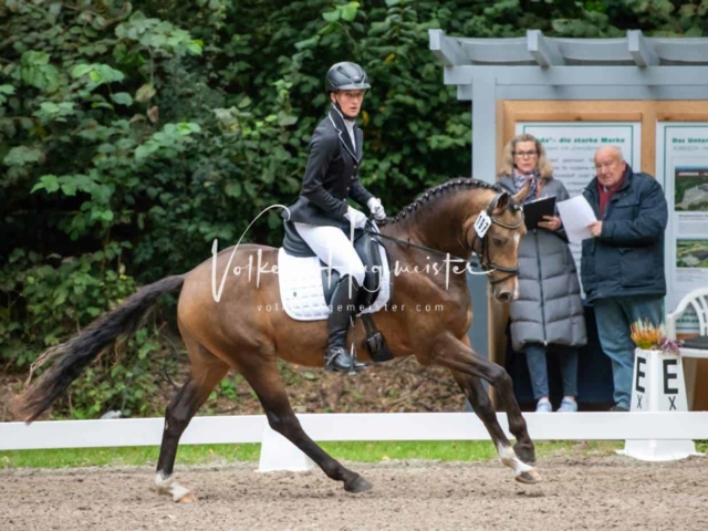 Landesponyturnier 3- und 4-Jährige 29