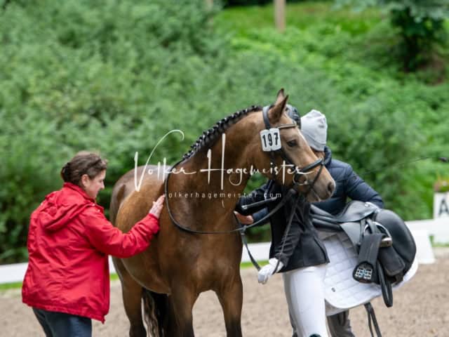 Landesponyturnier 3- und 4-Jährige 30