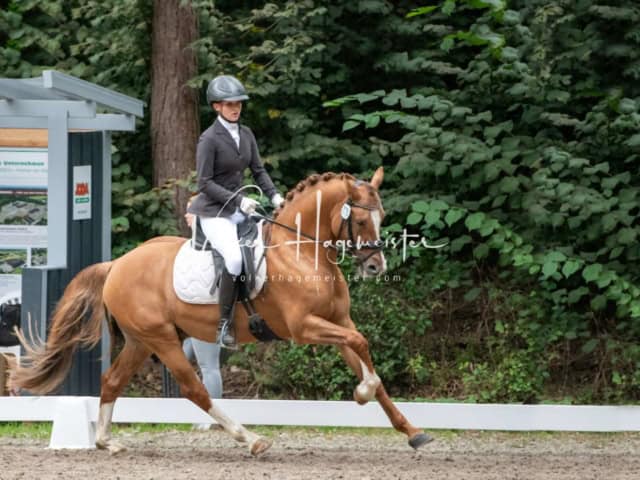 Landesponyturnier 3- und 4-Jährige 5