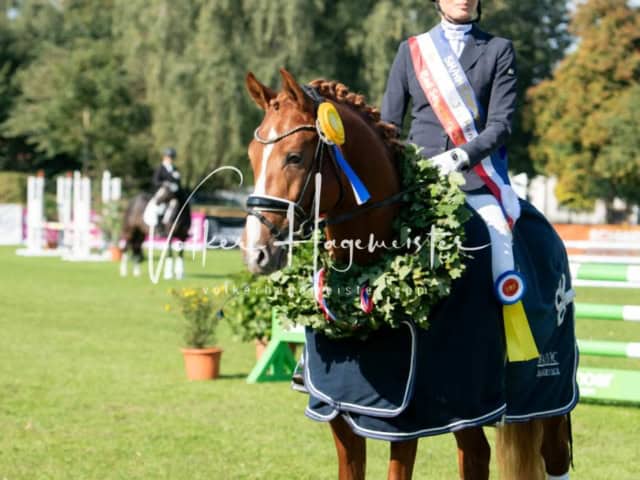 Landesponyturnier Sieger 8