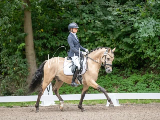 Landesponyturnier 3- und 4-Jährige 13