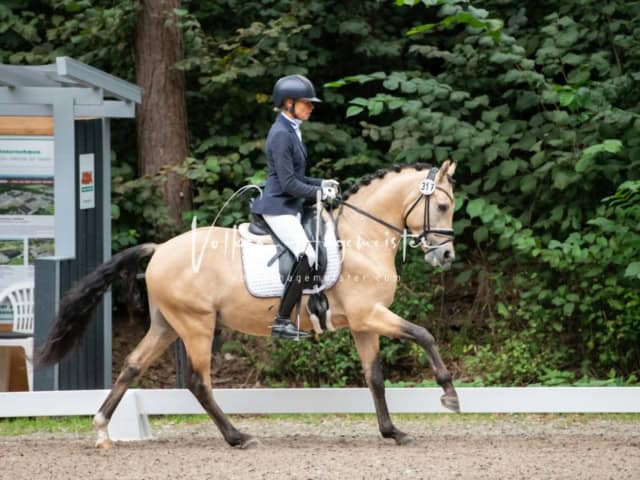 Landesponyturnier 3- und 4-Jährige 14