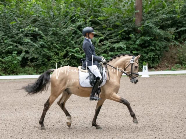 Landesponyturnier 3- und 4-Jährige 15