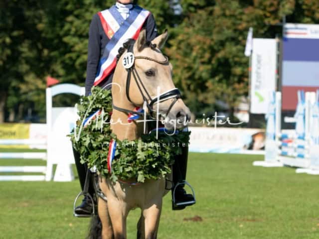 Landesponyturnier Sieger 9