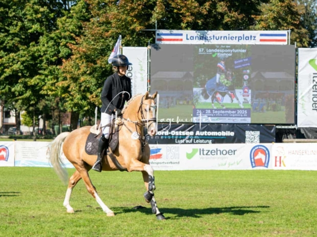 Landesponyturnier Impressionen Springen 13