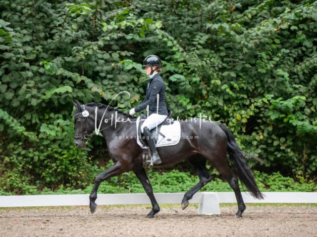 Landesponyturnier 3- und 4-Jährige 19