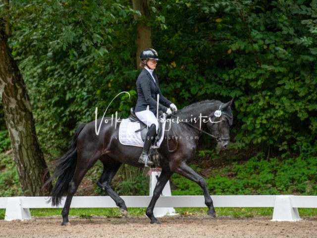 Landesponyturnier 3- und 4-Jährige 21