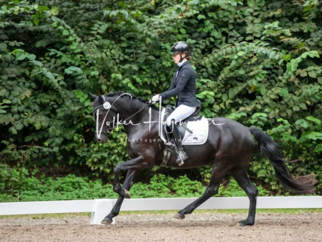 Landesponyturnier 3- und 4-Jährige 22