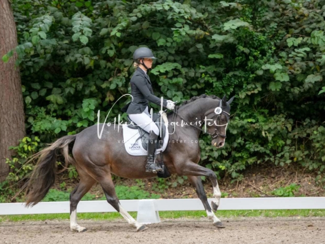 Landesponyturnier 3- und 4-Jährige 24