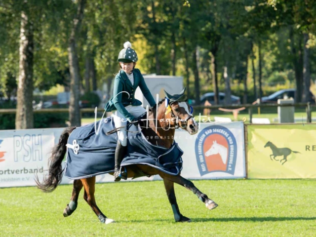 Landesponyturnier Sieger 13