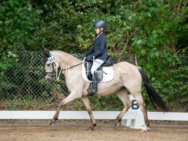Landesponyturnier 3- und 4-Jährige 25