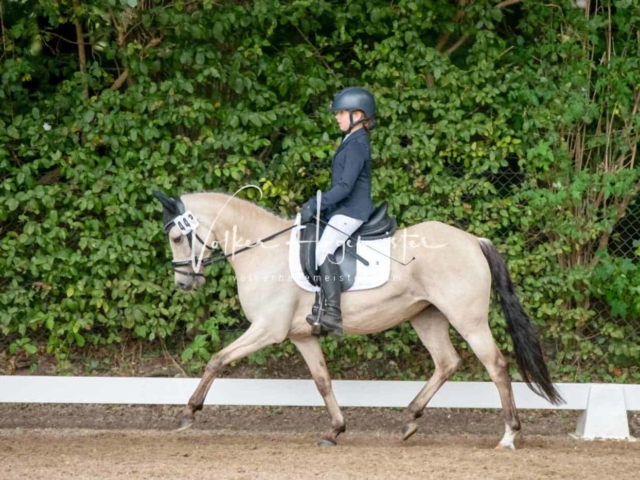 Landesponyturnier 3- und 4-Jährige 26