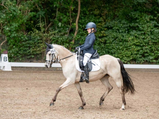 Landesponyturnier 3- und 4-Jährige 27