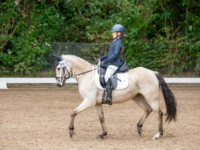 Landesponyturnier 3- und 4-Jährige 28