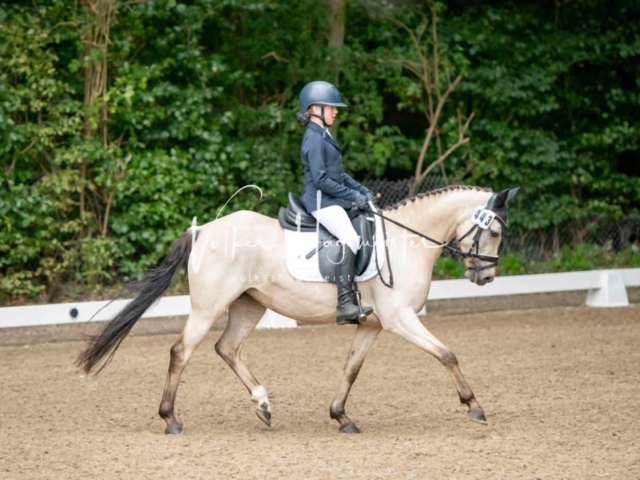 Landesponyturnier 3- und 4-Jährige 29