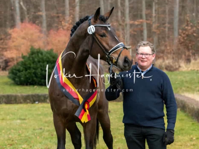 ZfdP Winterkörung Reitpferde 28