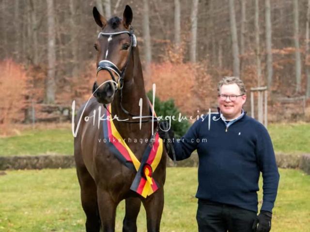 ZfdP Winterkörung Reitpferde 29