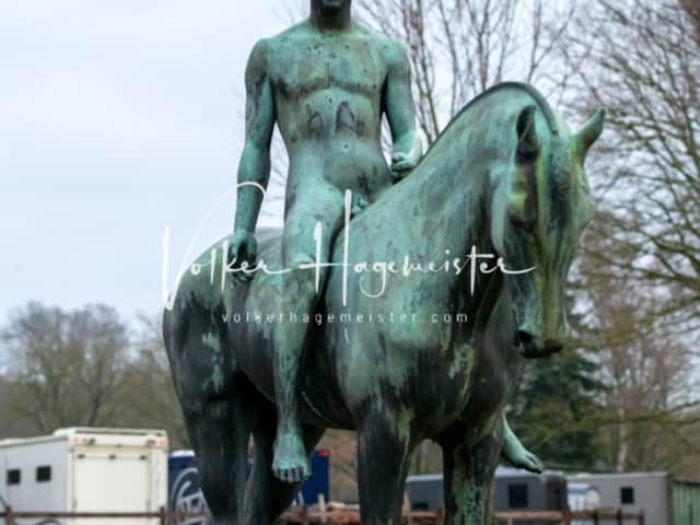 ZfdP Winterkörung Reitpferde 11