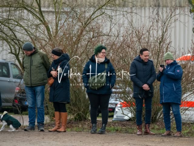 ZfdP Winterkörung Reitpferde 16