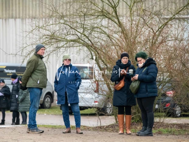 ZfdP Winterkörung Reitpferde 19
