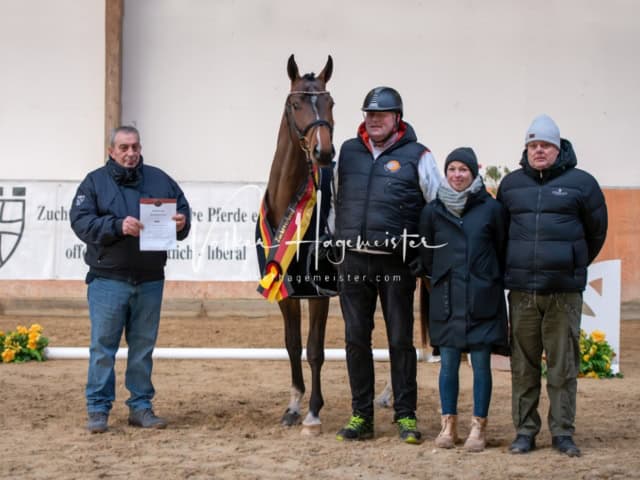 ZfdP Winterkörung Reitpferde 28