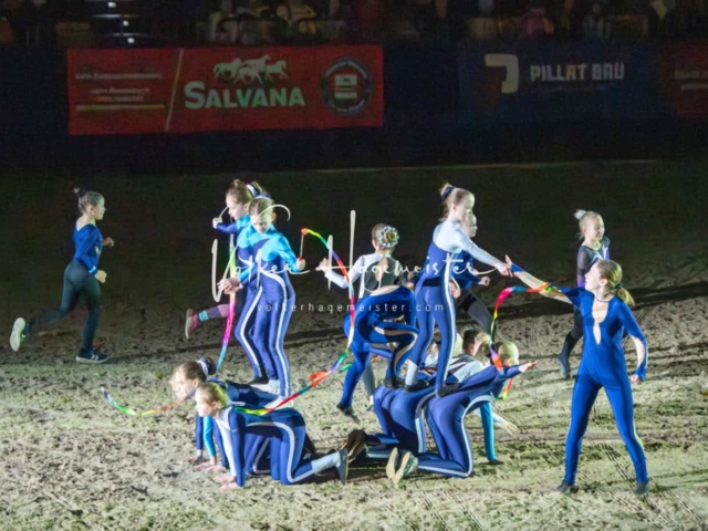 PSB Schaunachmittag 4