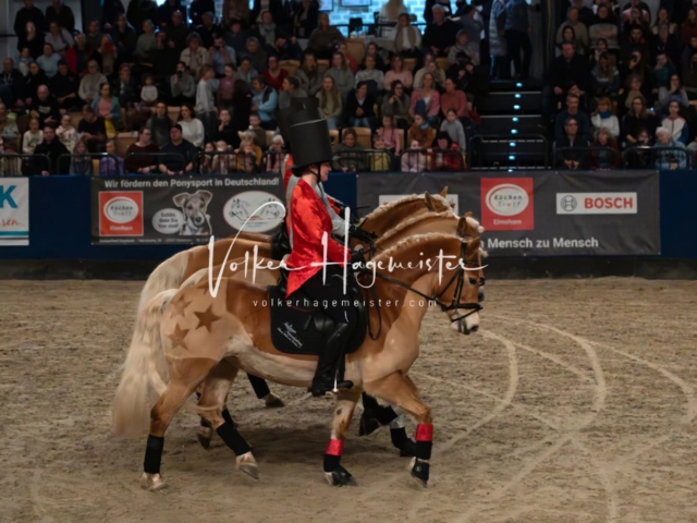 PSB Schaunachmittag 6