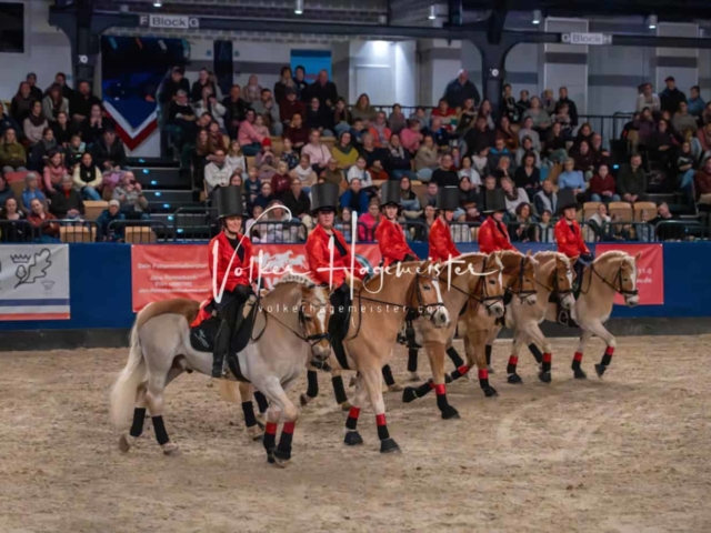 PSB Schaunachmittag 8