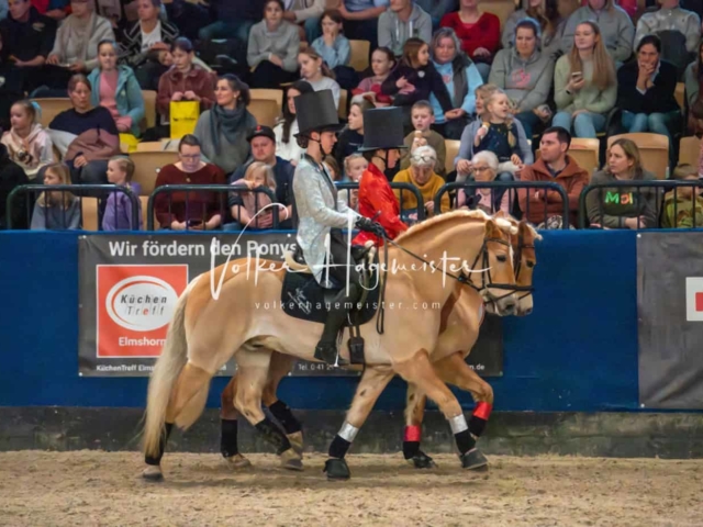 PSB Schaunachmittag 9