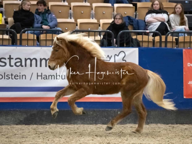 Impressionen PSB Samstag unsortiert 4