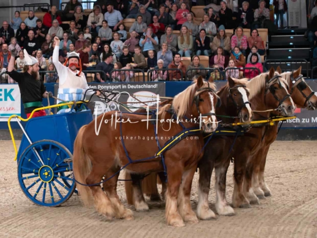 PSB Schaunachmittag 2