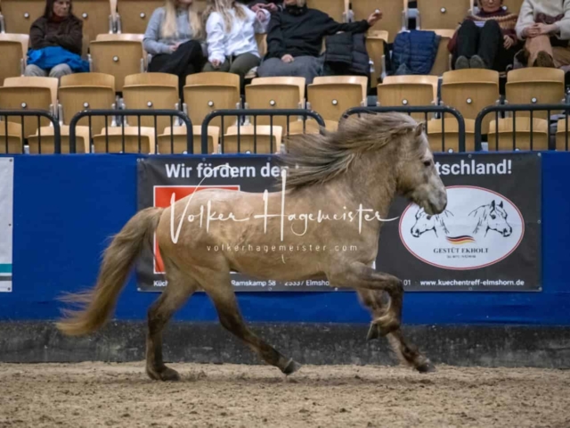 Impressionen PSB Samstag unsortiert 2