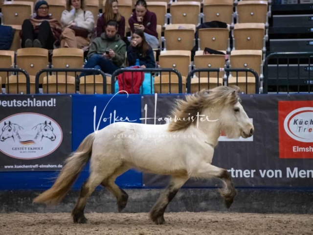 Impressionen PSB Samstag unsortiert 4