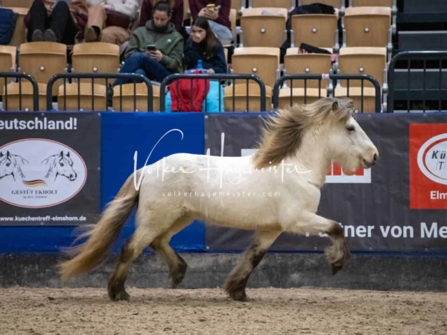 Impressionen PSB Samstag unsortiert 5