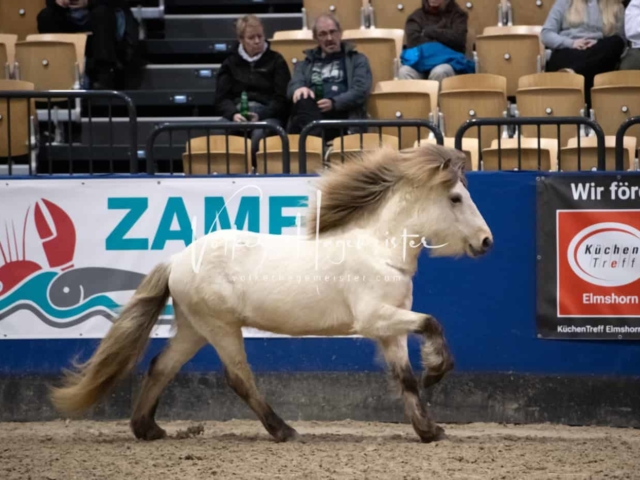 Impressionen PSB Samstag unsortiert 6