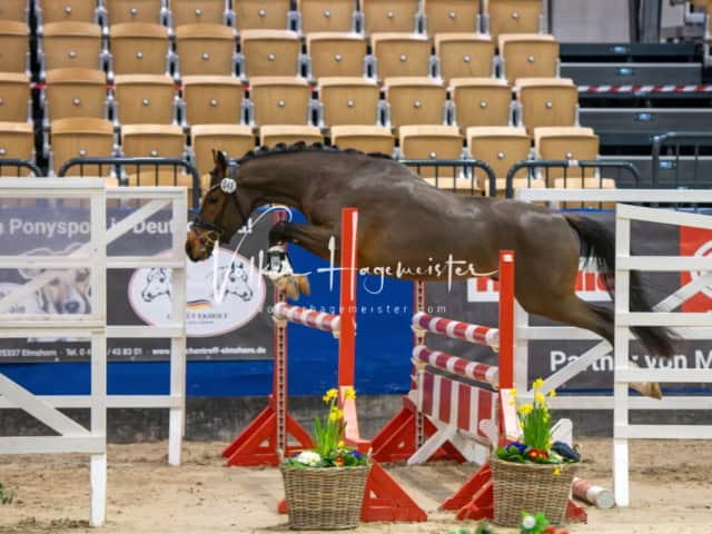 Impressionen PSB Samstag unsortiert 7